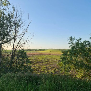 Kırsalda yeşil alanlar