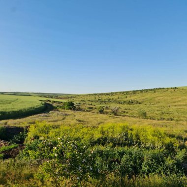 Kazakistan 'daki bozkırın manzarası