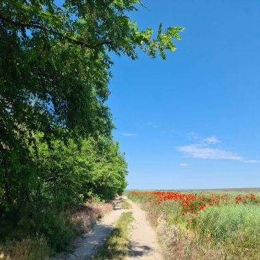 Nehir ve mavi gökyüzü olan güzel bir manzara.