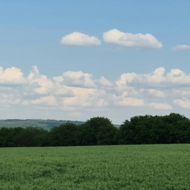 yeşil alan ve gökyüzü