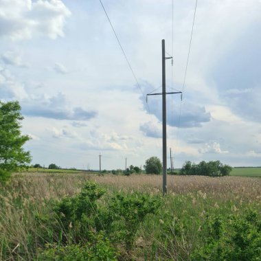 Elektrik direkleri mavi gökyüzüne karşı bir elektrik hattı üzerinde.