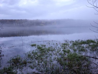 Göl ve ağaçlar sisli