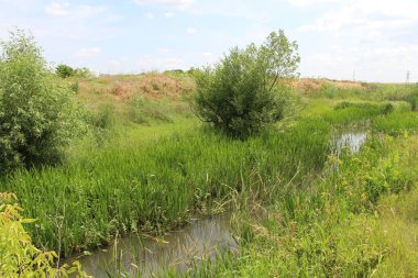 Kırsal kesimde nehir ile peyzaj.
