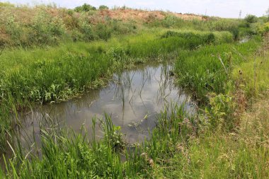 Kırsal kesimde güzel bir nehir manzarası