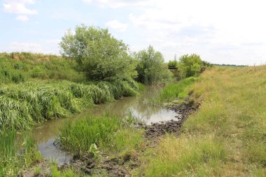 Yaz manzarasında nehir