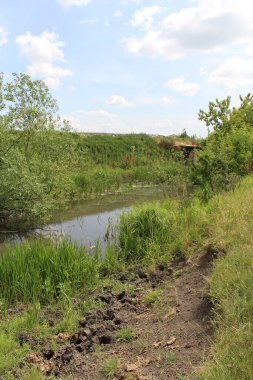 Güneşli bir yaz gününde küçük bir nehrin manzarası