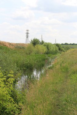Nehir ve yeşil bitkilerle birlikte manzara