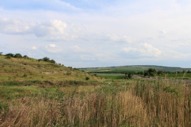 Ağaçlarla dolu bir tarlası ve bulutlu bir gökyüzü olan güzel bir manzara.