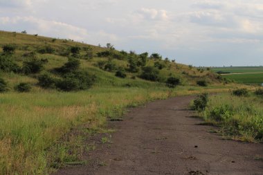 Yazın yeşil tarlalar ve ağaçlar arasında yol