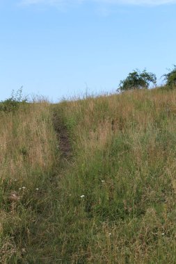 Doğanın güzel manzarası