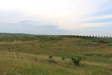 Dağları ve ağaçları olan güzel bir manzara.