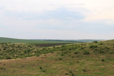 Ukrayna tarlalarının manzarası