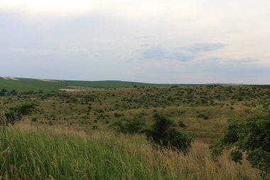 Yeşil alanlar ve mavi gökyüzü manzara