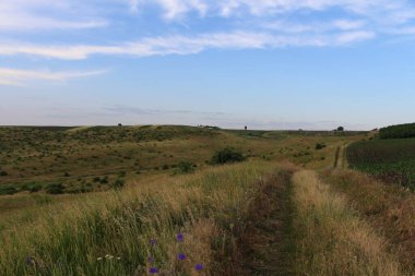 Tarlaları, ağaçları ve tepeleri olan kırsal alan