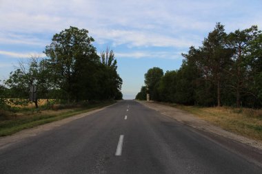 Ormanın ortasında boş asfalt yol güneşli bir yaz gününde kırsalda