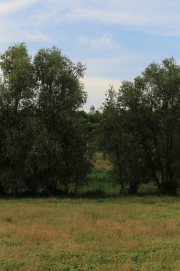 Ağaçları ve mavi gökyüzü olan yeşil çayır.
