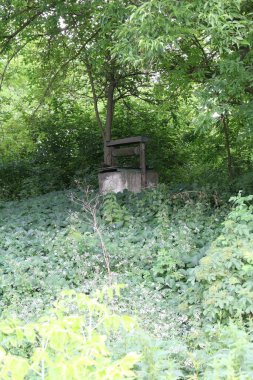 Parktaki eski terk edilmiş ev.