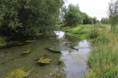 Nehir ve gölü olan güzel bir manzara.