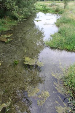Ormandaki güzel nehir manzarası