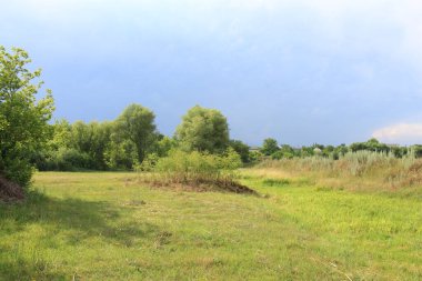 yeşil tarla ve mavi gökyüzü