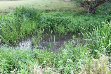 Nehrin güzel manzarası