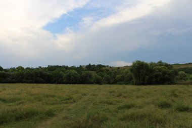 Çimen tarlası ve bulutlu gökyüzü olan güzel bir manzara.