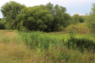 Parktaki nehir kıyısında..