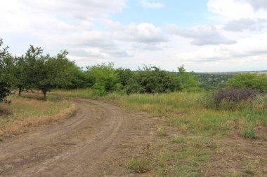 Güzel bir manzara Ağacı ve mavi gökyüzü