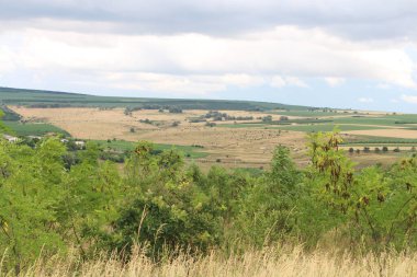 Yeşil tarlaları ve tepeleri olan yaz manzarası