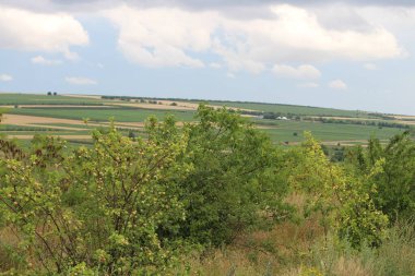 Doğada güzel bir manzara