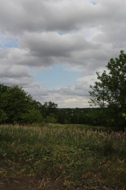 Güzel bir manzara Ağacı ve mavi gökyüzü