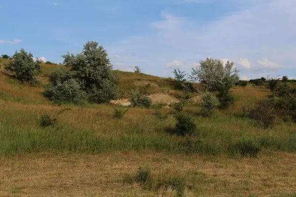 Çimen tarlası ve mavi gökyüzü olan güzel bir manzara.