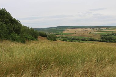 Czech cumhuriyetinin kırsal kesiminin görüntüsü.