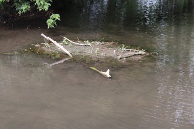 Parktaki küçük nehir.