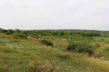 Yeşil çimenler ve küçük bir tarla