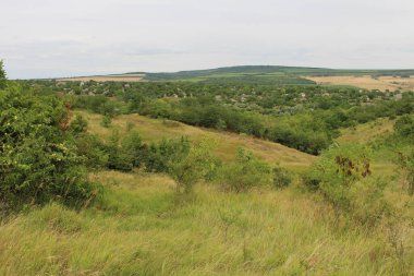 Yazın Rus Köyü 'nün manzarası