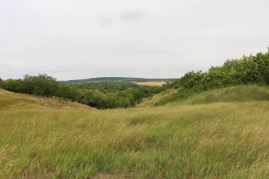 Dağlarda yaz manzarası