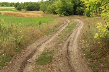 Kırsal bölgedeki toprak yol.