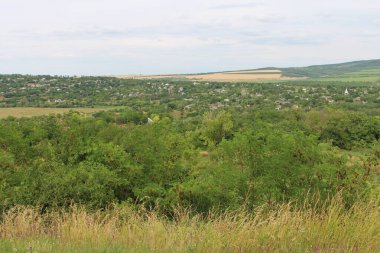 Dağlarda bir ağacı olan güzel bir manzara.