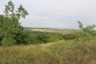 Yeşil çimenli yaz manzarası, mavi ve bulutlu gökyüzü köyde