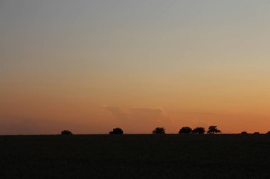 Tarlanın üzerinde güzel bir gün batımı