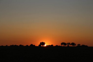 güzel gün batımının resimsel manzarası