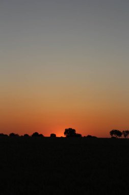 Savannah günbatımı