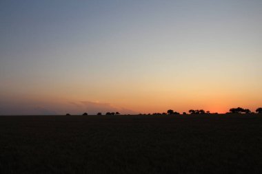 bir alandaki günbatımı