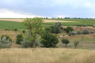 Yeşil çimenlerle ve bulutlu gökyüzüyle güzel bir manzara.