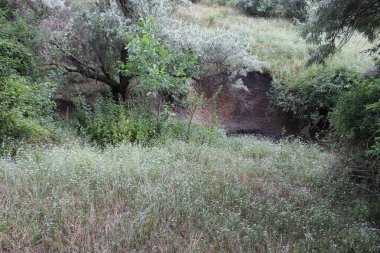 Nehir ve dağ olan güzel bir manzara.