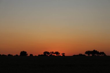 Günbatımı savana üzerinde