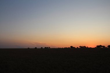 Sahada gün batımı Güzel bir manzarayla