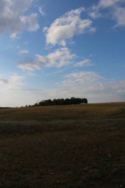 Ukrayna tarlalarının manzarası.
