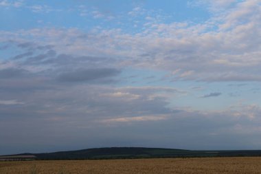 beautiful landscape with field and blue sky
